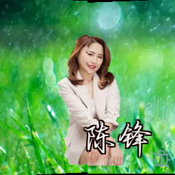 陈锋